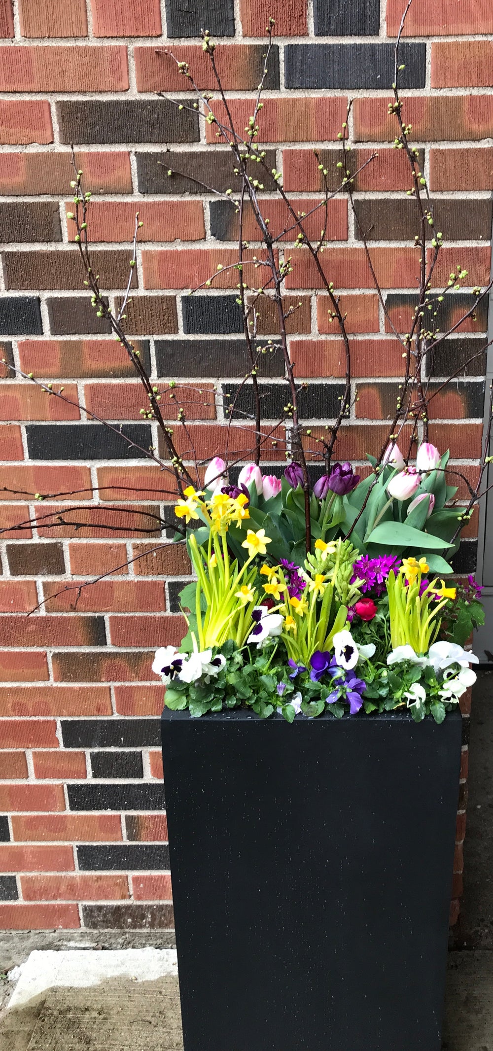 Spring Blush DIY Spring Planter Kit