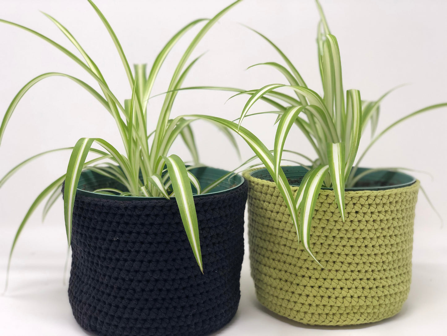 
                  
                    Crochet Plant Pot Covers
                  
                