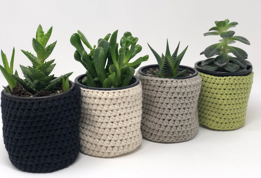 
                  
                    Crochet Plant Pot Covers
                  
                