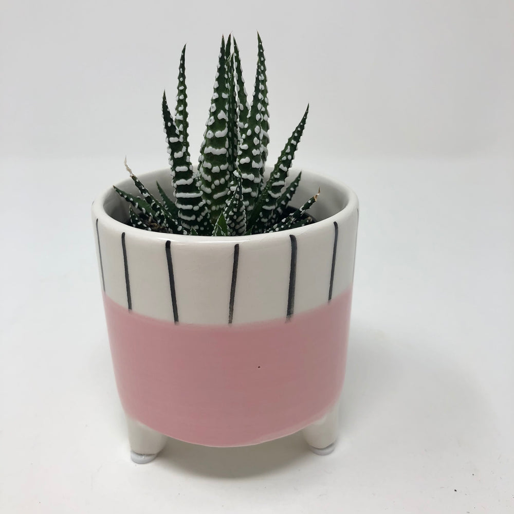 
                  
                    Footed Pink Dolomite with Black Striped Rim
                  
                